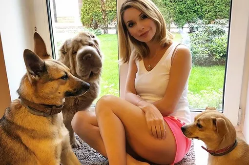 Ольга Орлова приютила нескольких бездомных собак Ольга Орлова приютила нескольких бездомных собак