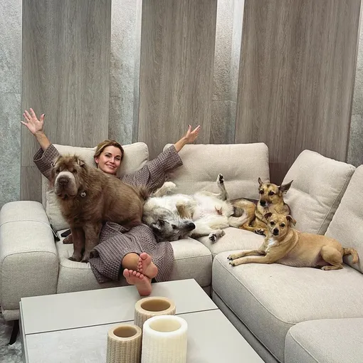 Ольгу Орлову отказались вести с собакой