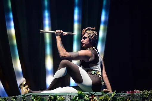 Николай Цискаридзе на сцене