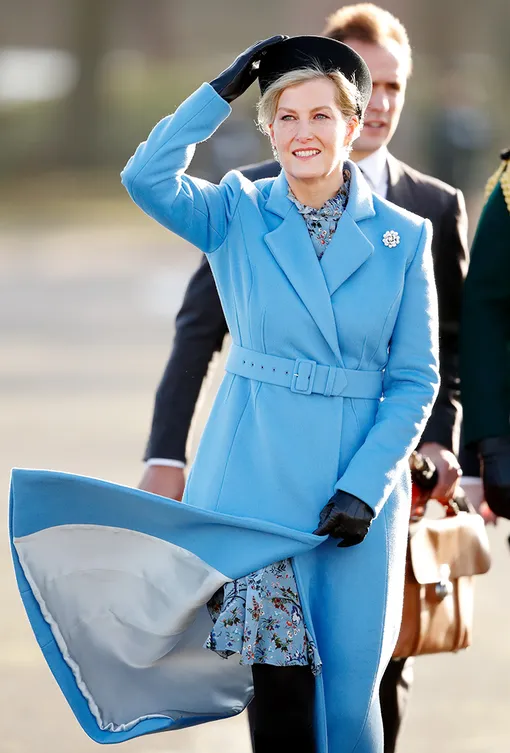 Платья королевских особ и связанные с ними конфузы