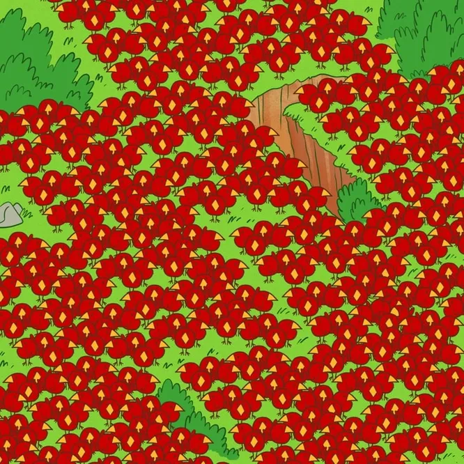 Нашла два яблока?