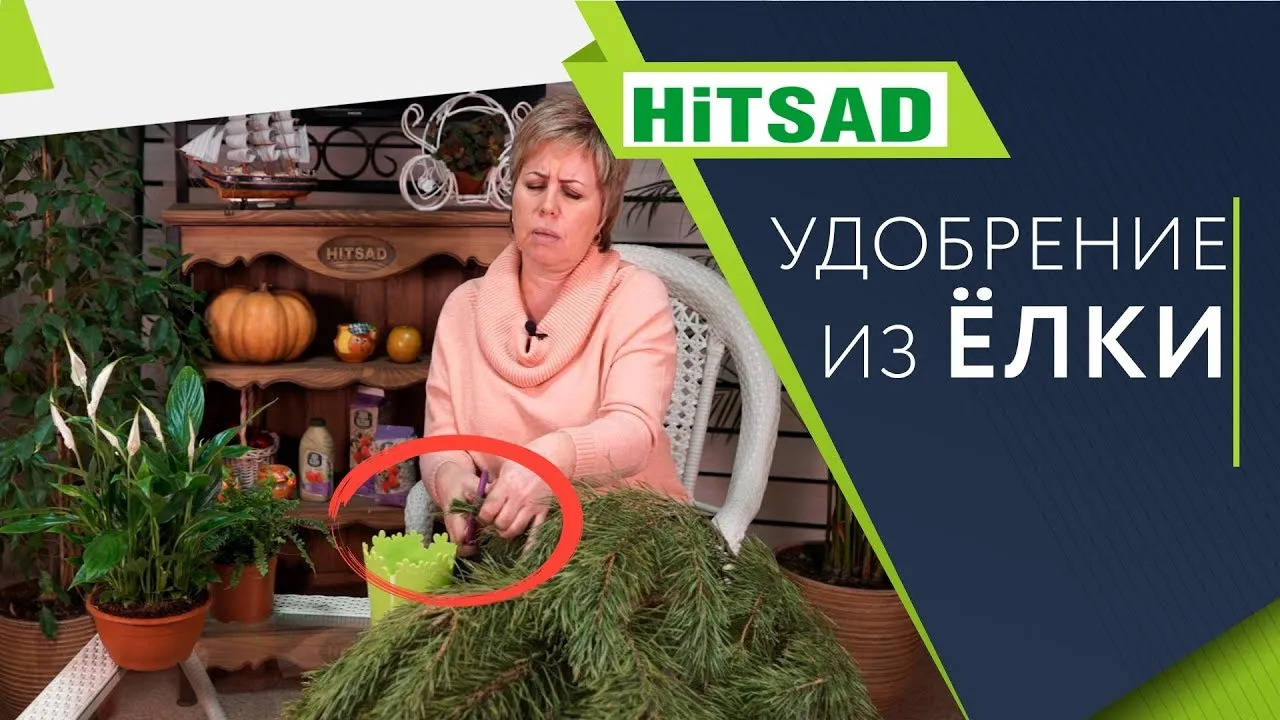 Нажми и смотри Нажми и смотри