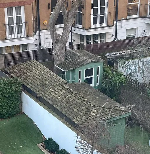 Соседи Милы Долман добились, чтобы она снесла постройки