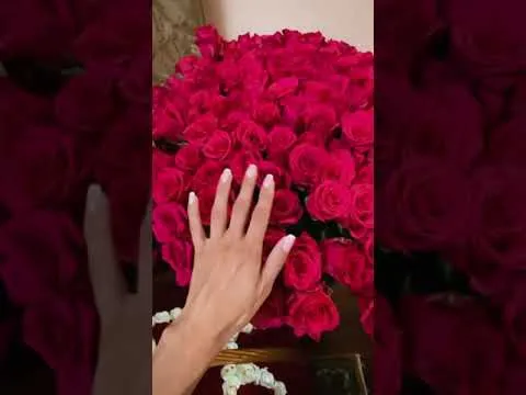 Нажми и смотри