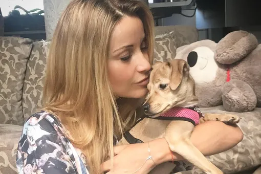 Ольга Орлова резко ответила хейтерам, упрекнувшим ее за употребление мяса Ольга Орлова резко ответила хейтерам, упрекнувшим ее за употребление мяса