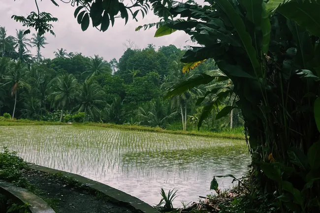 На здоровье! 5 мест на Бали, которые стоит посетить На здоровье! 5 мест на Бали, которые стоит посетить