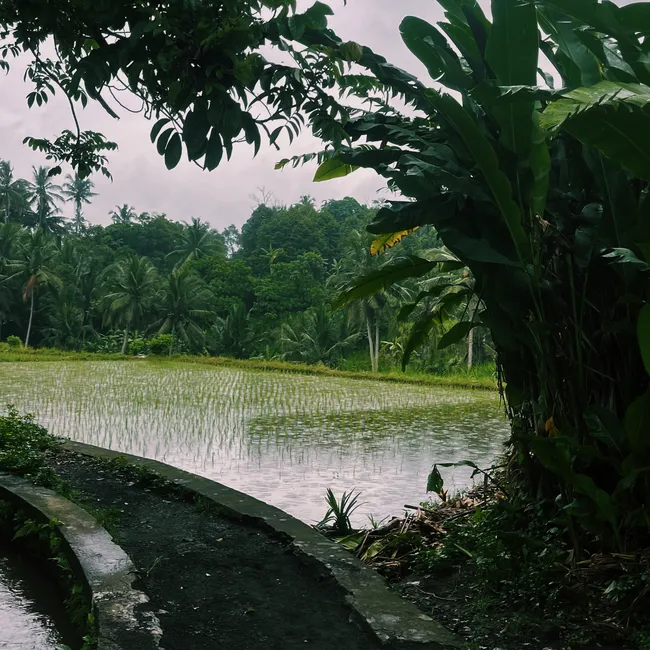 На здоровье! 5 мест на Бали, которые стоит посетить