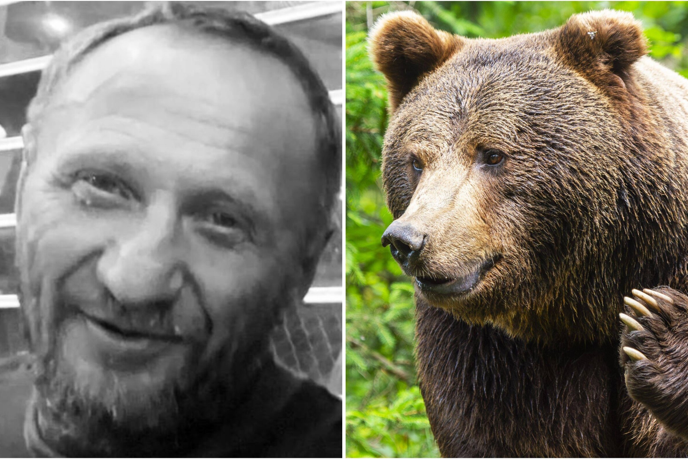 Медведь растерзал Виктора Ушакова, пропавшего на «Тропе испытаний» в Бурятии