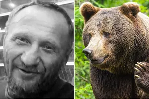 Медведь растерзал Виктора Ушакова, пропавшего на «Тропе испытаний» в Бурятии Медведь растерзал Виктора Ушакова, пропавшего на «Тропе испытаний» в Бурятии