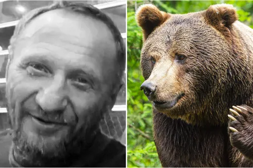Медведь растерзал Виктора Ушакова, пропавшего на «Тропе испытаний» в Бурятии Медведь растерзал Виктора Ушакова, пропавшего на «Тропе испытаний» в Бурятии