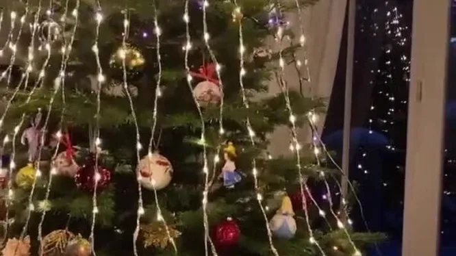 Нажми и смотри Нажми и смотри