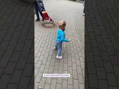 Нажми и смотри Нажми и смотри