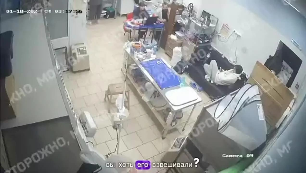 Нажми и смотри