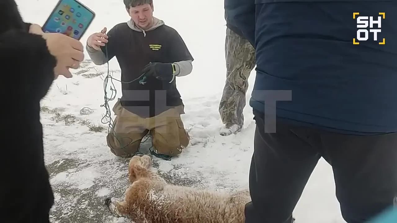 Нажми и смотри Нажми и смотри