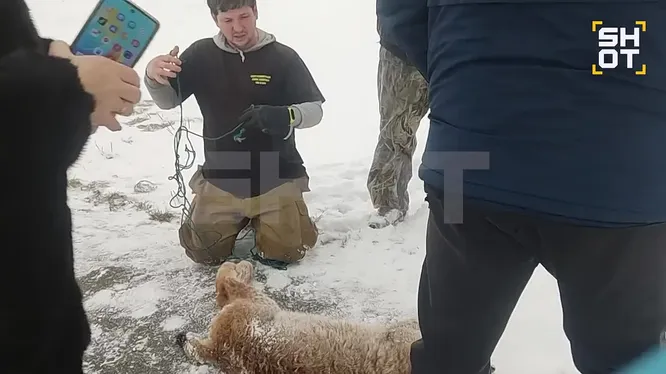 Нажми и смотри