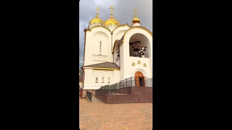 Нажми и смотри