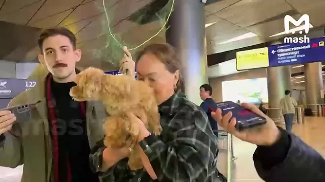 Нажми и смотри Нажми и смотри