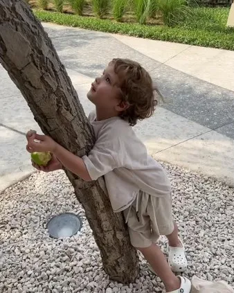 Нажми и смотри