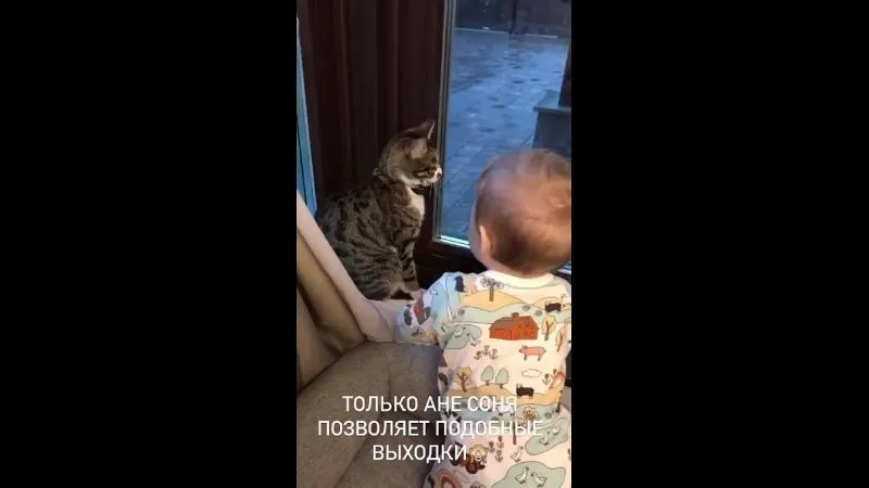 Нажми и смотри Нажми и смотри