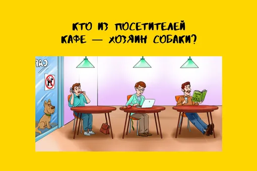 «Собачники» угадают, «кошатники» — нет: а ты поймешь, кто владелец пса?