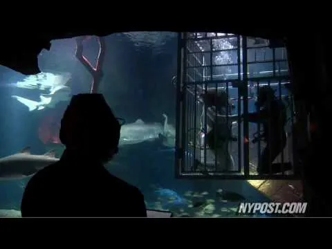 Нажми и смотри Нажми и смотри