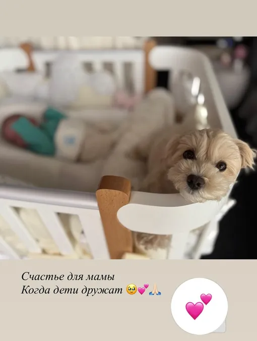 Валентина Иванова показала трогательный снимок с дочерью и мальтипу