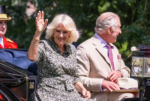 Камилла с мужем в свете