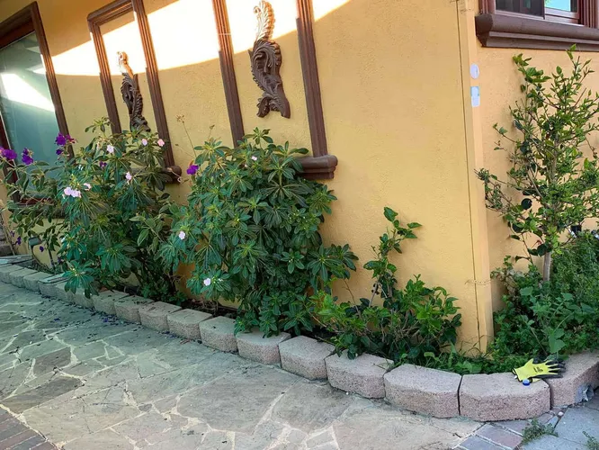 Видишь на картинке кота?