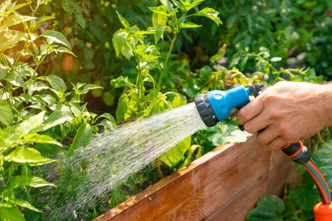 9 Things Not to Do When Watering Your Garden: Expert Advice 9 Things Not to Do When Watering Your Garden: Expert Advice
