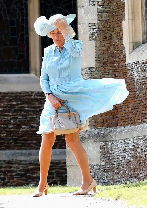 Платья королевских особ и связанные с ними конфузы