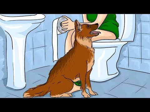 Нажми и смотри Нажми и смотри