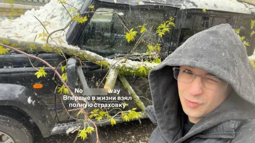 На авто Славы Марлоу упало дерево