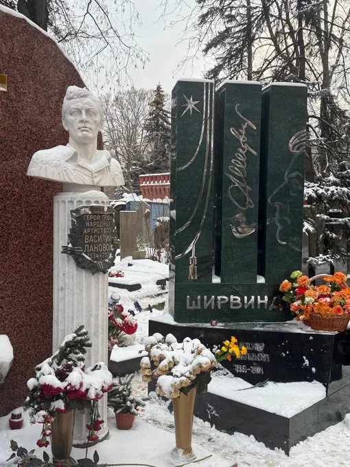 Звездными соседями супругов являются Александр Ширвиндт, Василий Лановой и другие коллеги