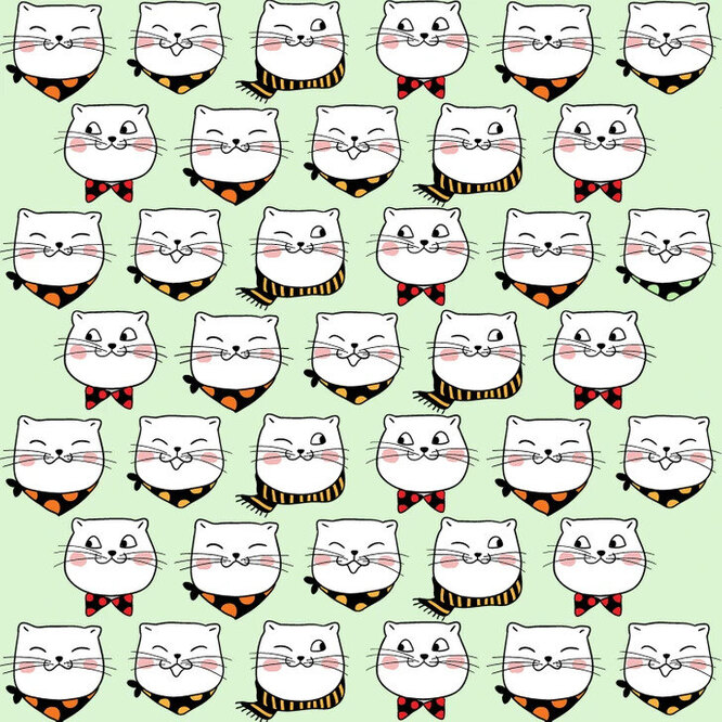 Find the extra cat: only 10% of people can guess how it differs from others!