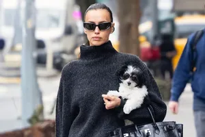 Ирину Шейк с новым питомцем на руках подловили папарацци в Нью-Йорке