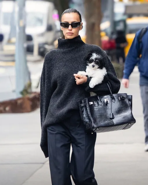 Ирина Шейк появилась на улице Нью-Йорка с новым питомцем