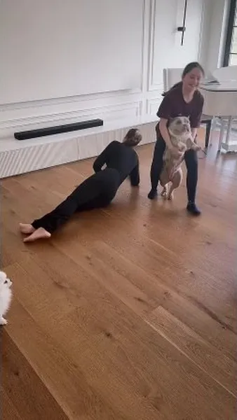 Нажми и смотри