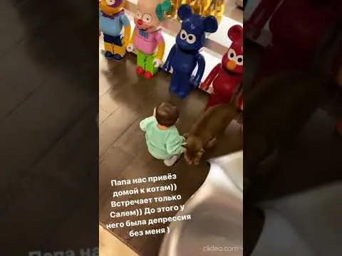 Нажми и смотри