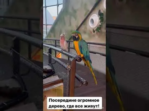 Нажми и смотри Нажми и смотри