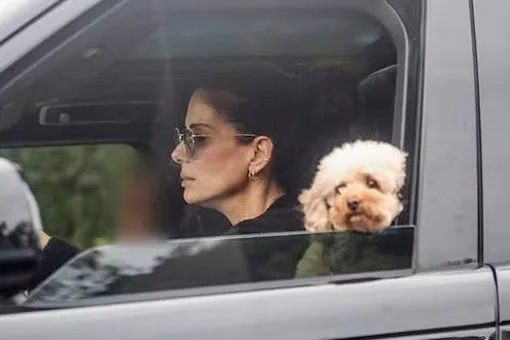 Сандру Буллок впервые после смерти мужа вместе с сыном в автомобиле сняли папарацци