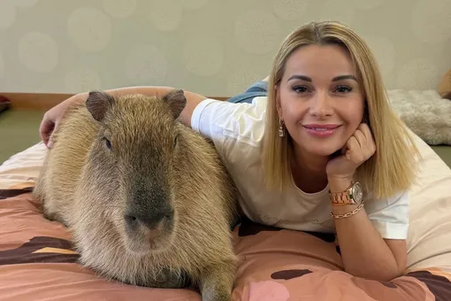 «Сбылась моя мечта»: Ольга Орлова сняла забавное видео в постели с капибарой «Сбылась моя мечта»: Ольга Орлова сняла забавное видео в постели с капибарой