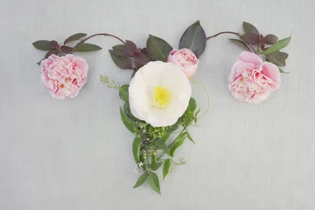 5 симптомов, из-за которых можно не волноваться: мнение гинекологов 5 симптомов, из-за которых можно не волноваться: мнение гинекологов