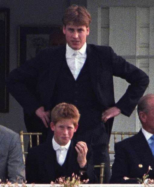 Уильям всегда был наставником для Гарри Уильям всегда был наставником для Гарри