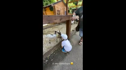 Нажми и смотри