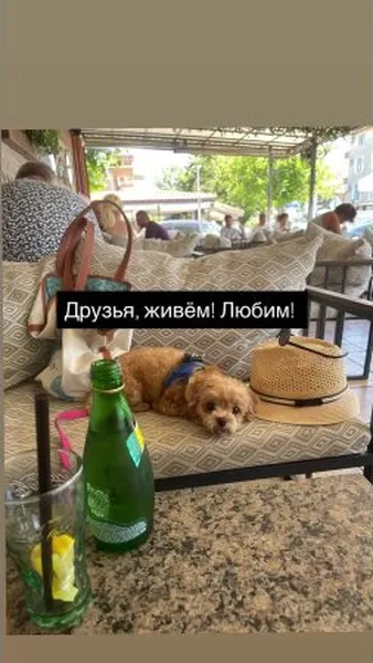 Нажми и смотри Нажми и смотри