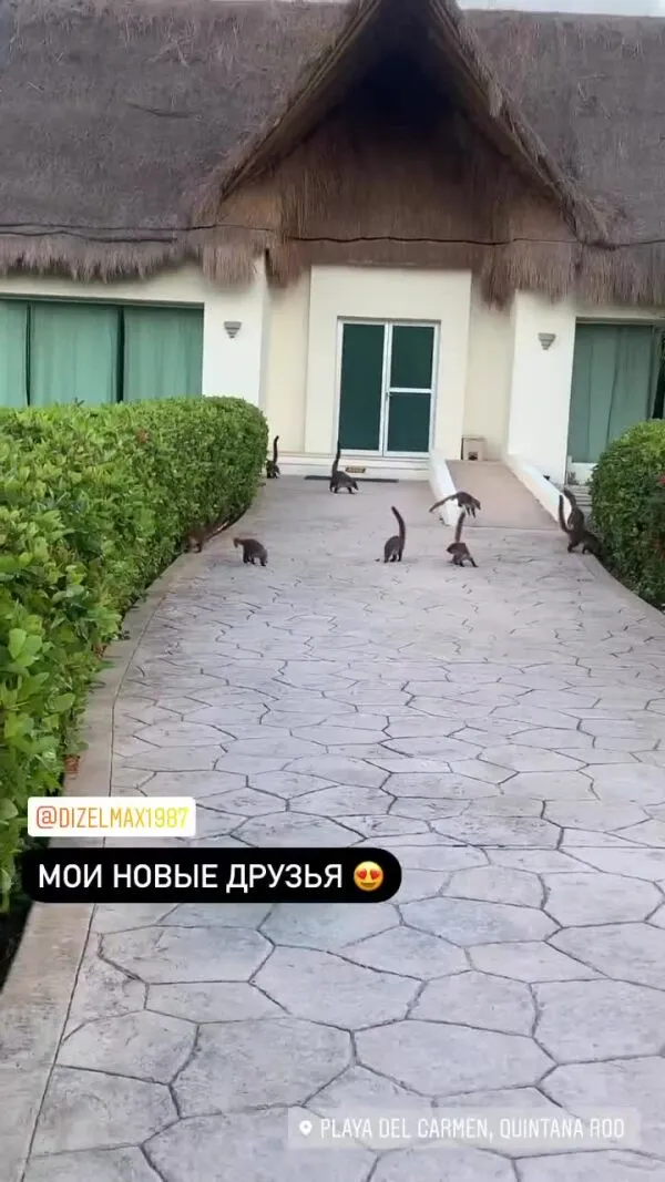 Нажми и смотри Нажми и смотри