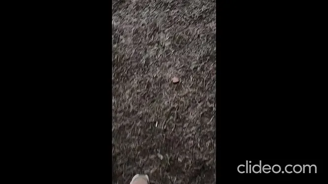 Нажми и смотри