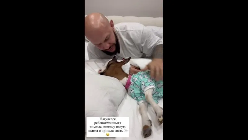 Нажми и смотри Нажми и смотри