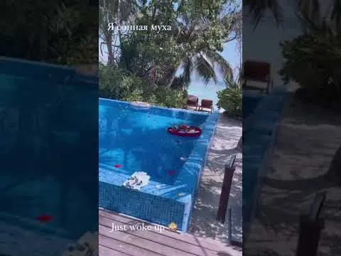 Нажми и смотри Нажми и смотри
