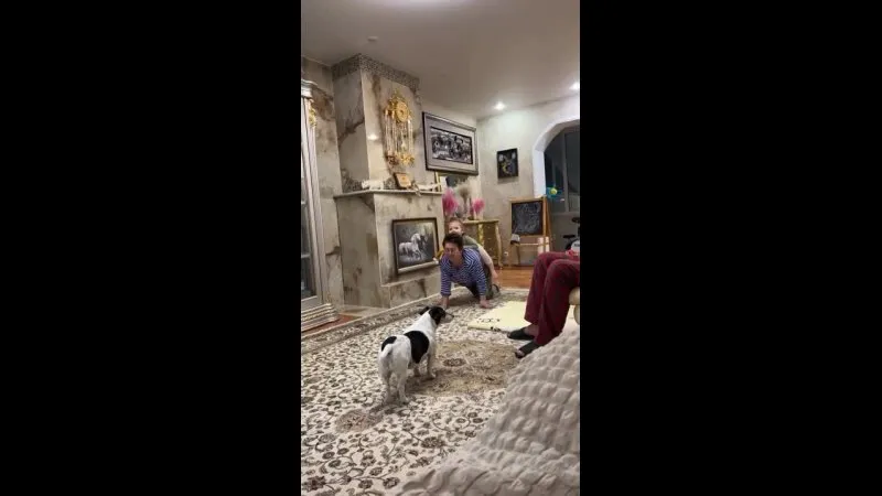 Нажми и смотри Нажми и смотри